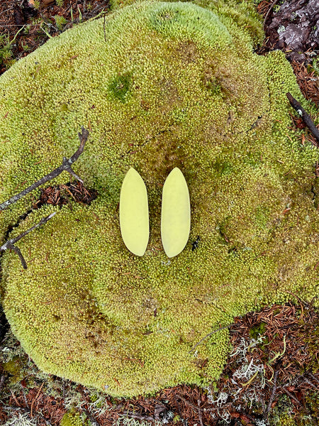 Bog Earring