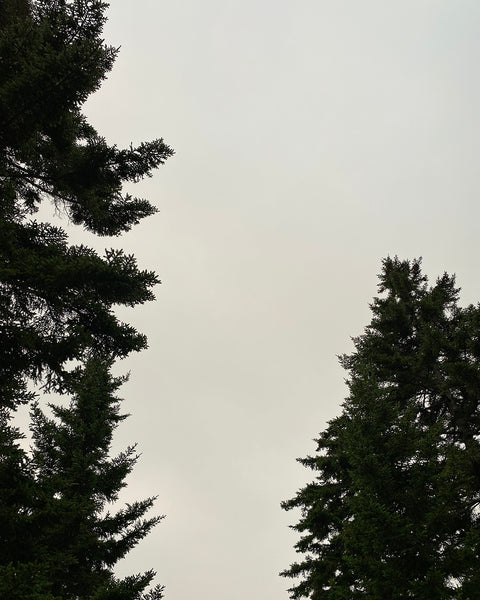 Fog Earring