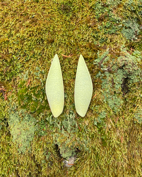 Green Bog Earring