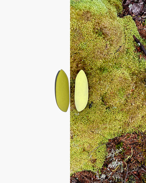 Bog Earring